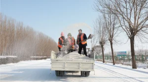 best practices for snow and ice control